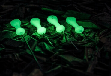 PB Products Glow In The Dark